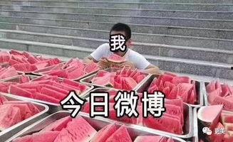 网红大秋千 往期热点热门大瓜 吃瓜前线第一人,揭秘网红圈热门大瓜，吃瓜前线第一人生动记录